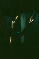 Form Follows Fiction