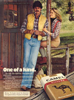 Ads Furnish Models for Action