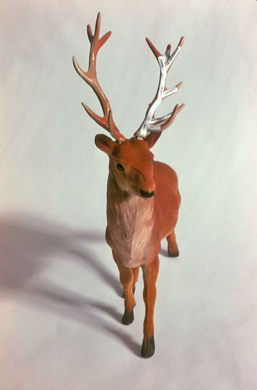 History (deer)
