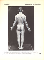 Deviations of the Live model