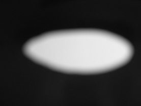 Sighting (L)