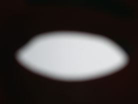 Sighting (R)